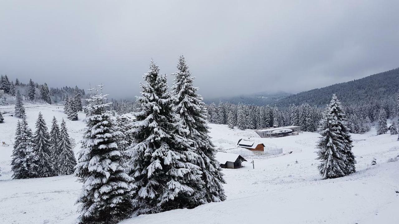 شقة Winter-Nest تودتناو المظهر الخارجي الصورة